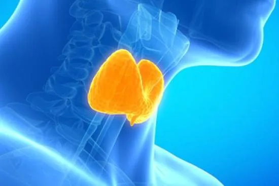Endocrinología