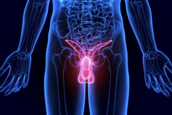 Vasovasostomía