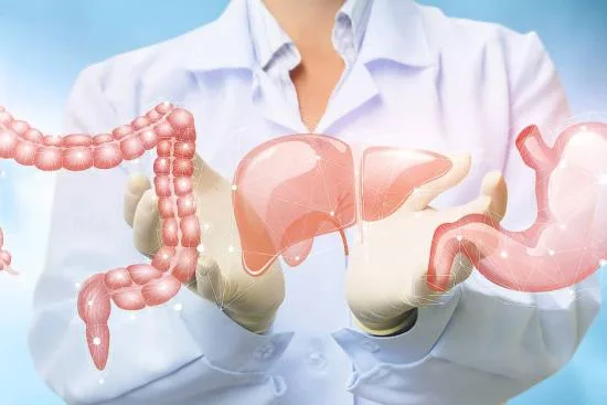 Consultation Gastroentérologie
