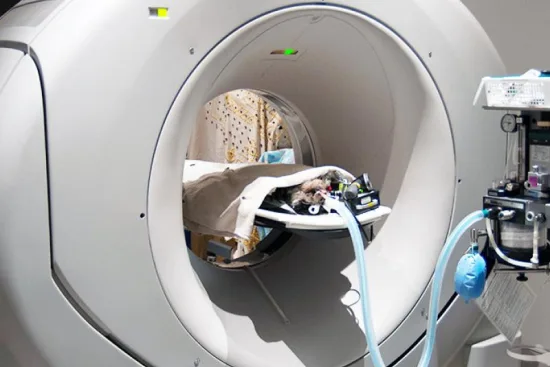 Компьютерная томография (КТ-скан) Турция Компьютерная томография (КТ-скан) Турция