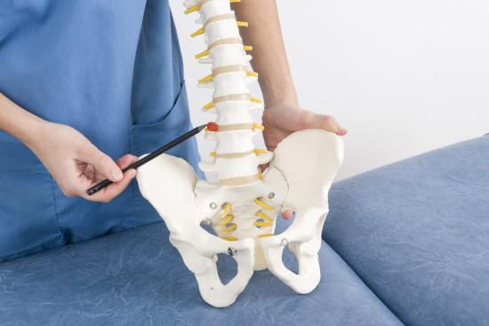Lumbar or cervical disc prosthesis