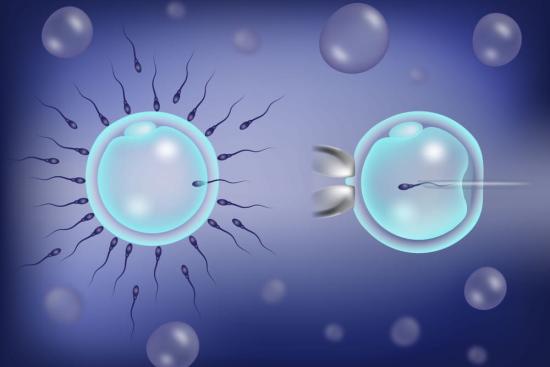 Stem cells for infertility treatment
