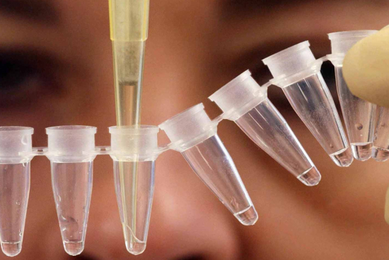 In Vitro Fertilization (IVF)