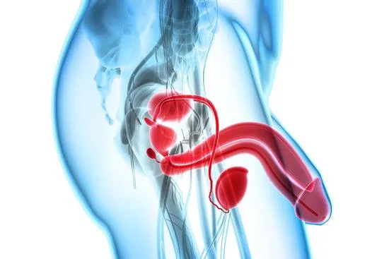 Penis enlargement surgery Penis enlargement surgery