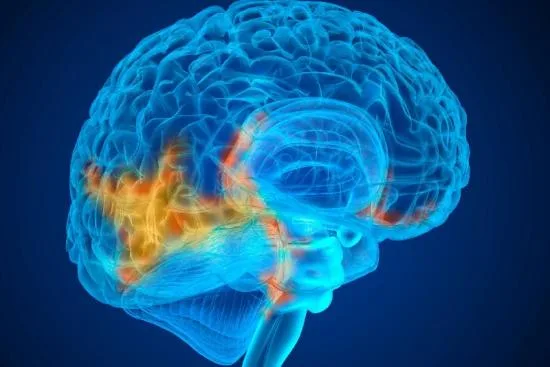 Factores de riesgo del cáncer cerebral 2026