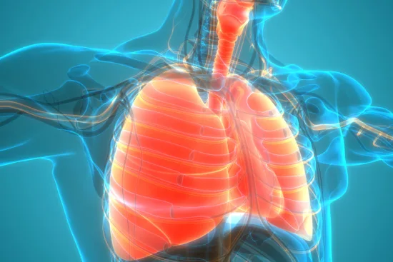 Thoracic surgery in Turkey : Expert care at competitive prices 2026 Thoracic surgery in Turkey : Expert care at competitive prices 2026