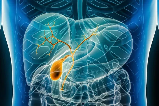 Anatomy of the common bile duct and surgical indications: 2026