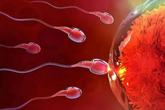 Cost of egg freezing in Turkey