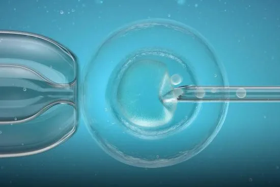 Cost of ivf in Turkey