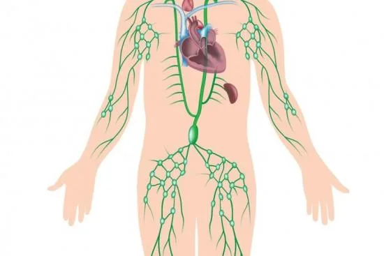 Curage Ganglionnaire lymphatique en Turquie curage ganglionnaire