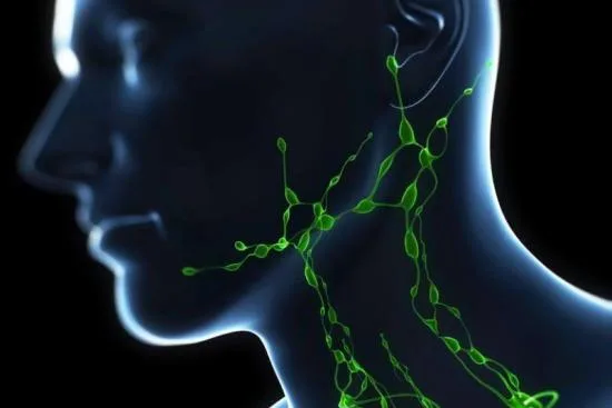 ganglion lymphatique ganglion lymphatique