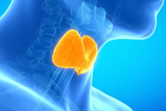 Endocrinología Turquía