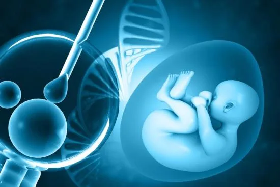 ivf turkey ivf turkey