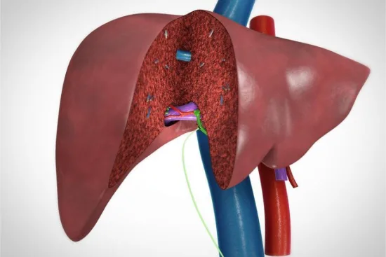 Hepatic resection procedure in Turkey 2026 Hepatic resection procedure in Turkey 2026
