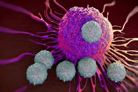 Indications de l'immunothérapie 2026