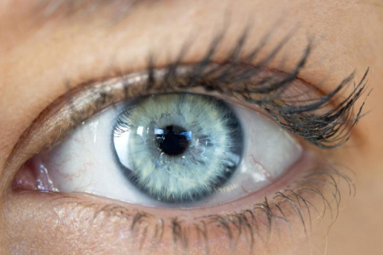 Intraocular lens implant Turkey