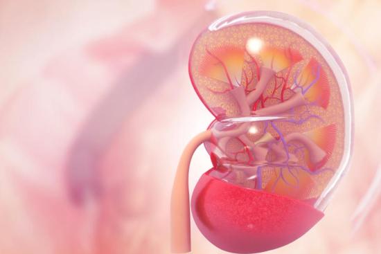 Nephrectomy