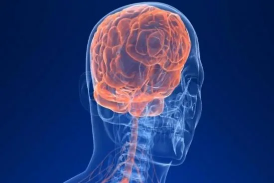 Síntomas de la neuralgia del trigémino 2026 Síntomas de la neuralgia del trigémino 2026