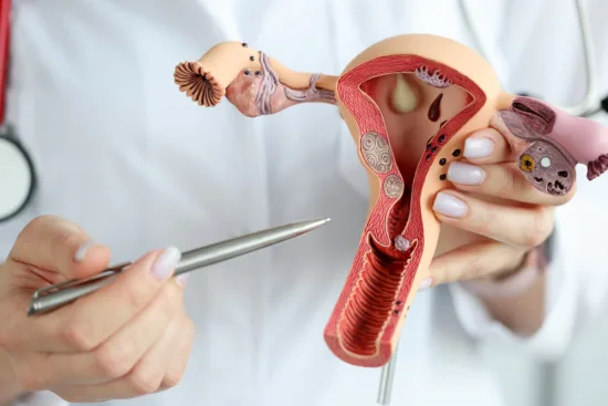 Symptoms of uterine fibroids (myomas) 2026