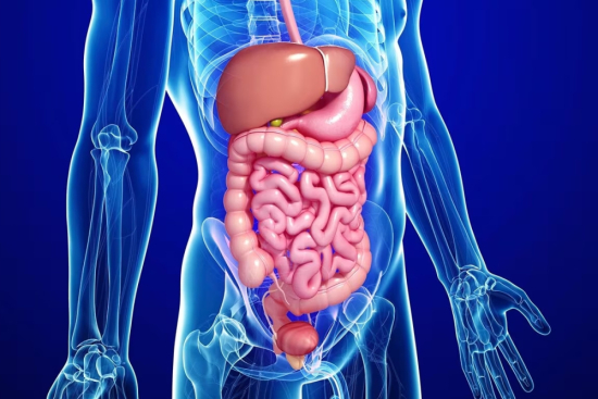 Gastroenterología