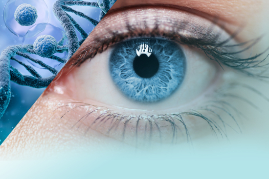 Stem cells for eye treatment