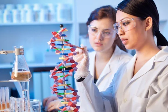 Processus du bilan de santé génétique en Turquie 2026