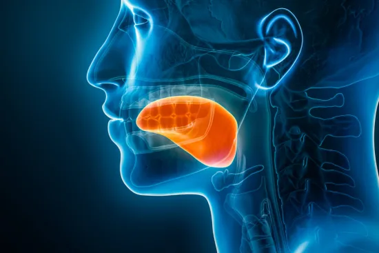 Risk factors for tongue cancer 2026