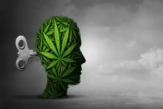 الطرق المختلفة لعلاج الإدمان على الحشيش في تركيا 2026 الطرق المختلفة لعلاج الإدمان على الحشيش في تركيا 2026