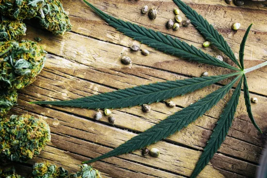 What is cannabis dependence? 2026