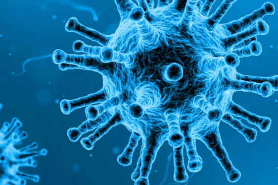 Síntomas de las enfermedades infecciosas 2026