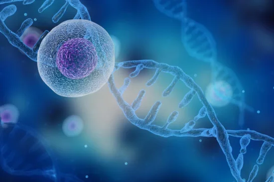 ما هي الخلايا الجذعية وكيف تُستخدم في العلاج؟ 2026