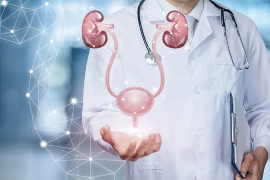 Urologie en Turquie : Expertise et excellence médicale 2026 Urologie en Turquie : Expertise et excellence médicale 2026