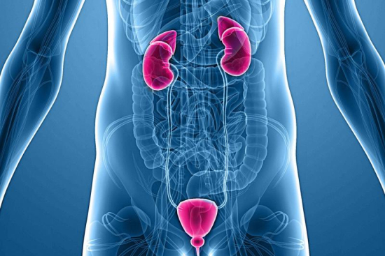 Urología Turquía